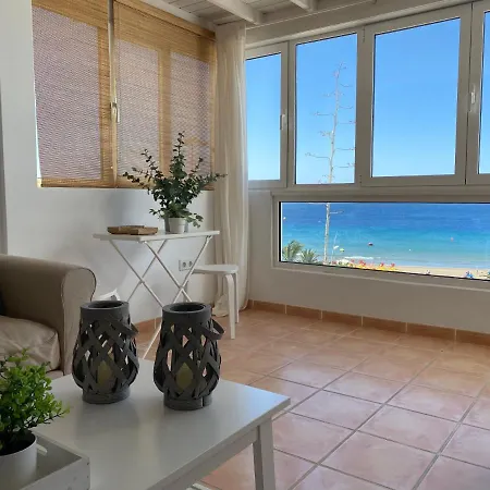 Tabaibas * Puerto del Carmen (Lanzarote)